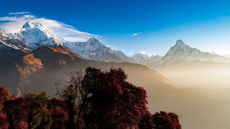 Poon Hill Trek in spring