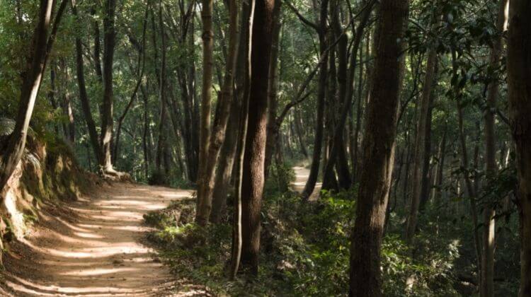 Shivapuri National Park