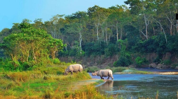 13 Điều Cần Biết Khi Du Lịch Nepal (Kinh nghiệm Thực Tế)